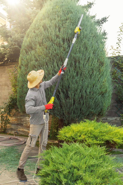 Best Lawn Pest Prevention  in Hanover, PA